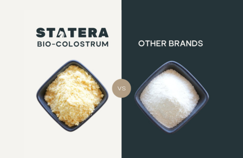 Not All Colostrum Is Created Equal: Why Quality Matters When Choosing Bovine Colostrum for Horses